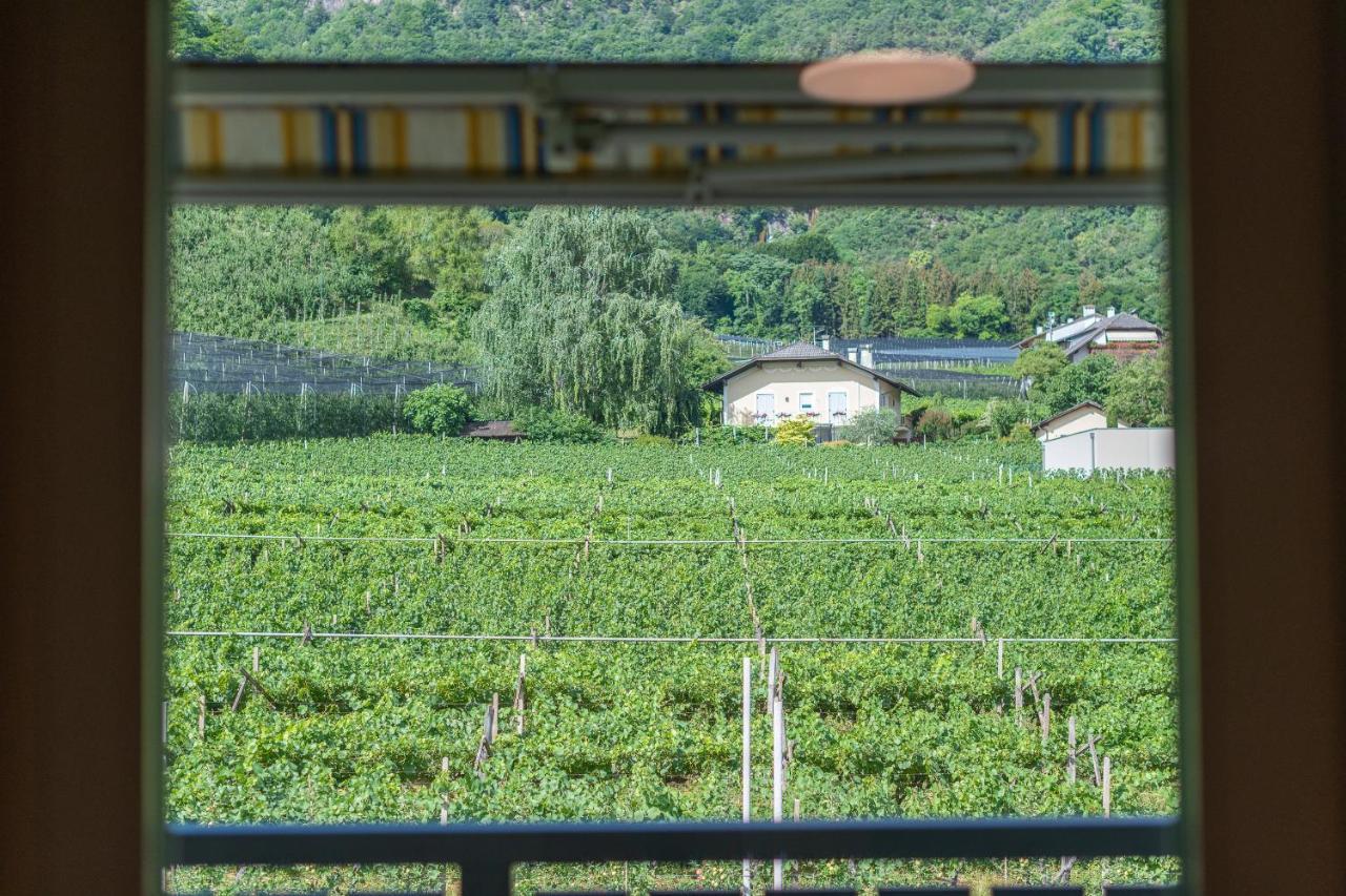 Haus Stolz Bed & Breakfast Appiano Sulla Strada Del Vino Exterior foto